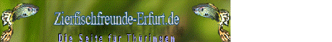 banner zierfischfreunde erfurt
