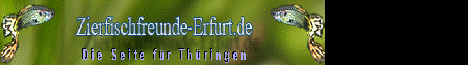 banner zierfischfreunde erfurt